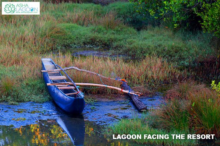 فندق Peacock Land تانجالي المظهر الخارجي الصورة