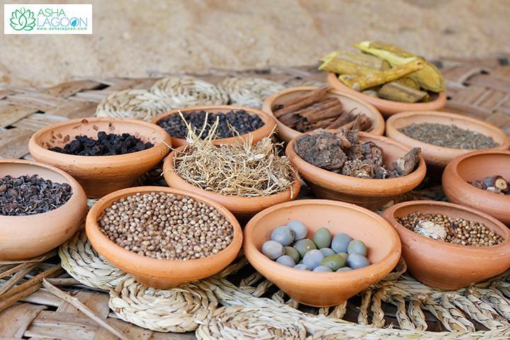 فندق Peacock Land تانجالي المظهر الخارجي الصورة